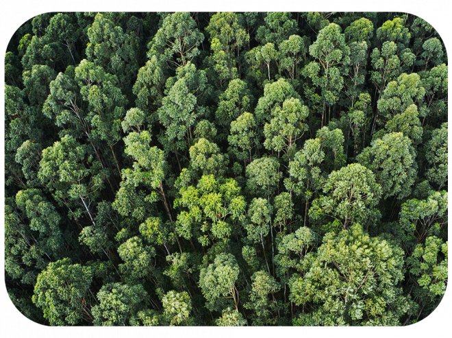 Stylowy Design Moc bez granic - HP ProBook 455 G10 85D55EA z procesorem AMD Ryzen™ 7 7730U 3