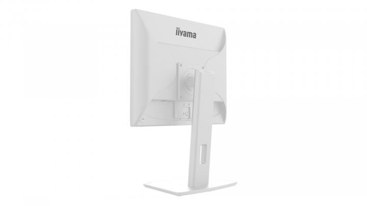 Monitor iiyama ProLite B1980S-W1 5