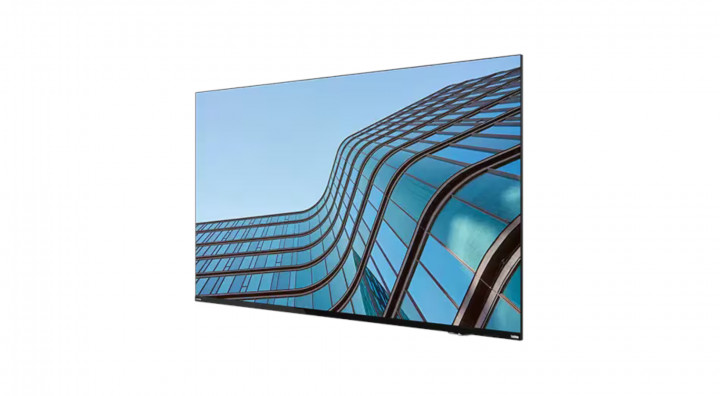 ThinkVision E55 LFD 6