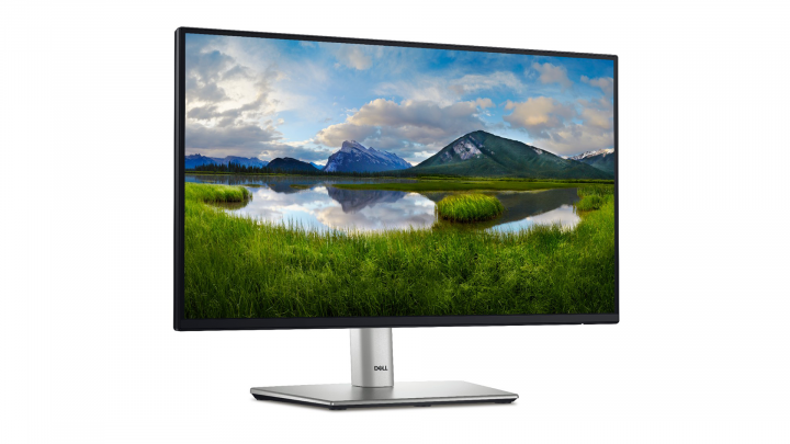 Monitor Dell 22 P2225H 1