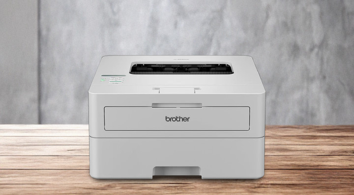 Drukarka Brother HL-B2180DW