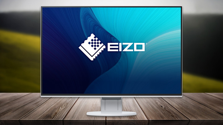 Monitor EIZO FlexScan EV2456 biały