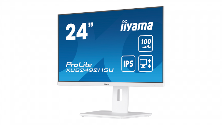 Monitor IIYAMA ProLite XUB2492HSU-W6 5