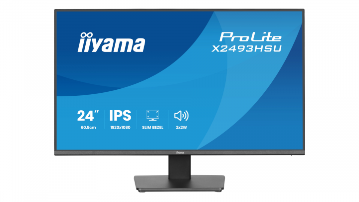 Monitor iiyama ProLite X2493HSU-B1
