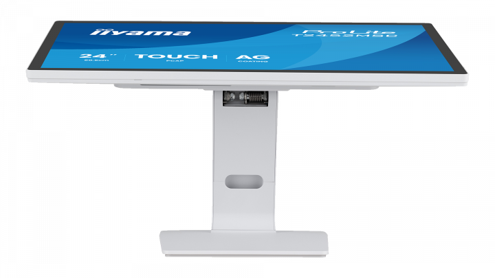 Monitor iiyama ProLite T2452MSC-W2AG Touch 2