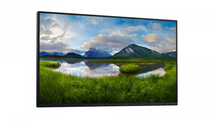 Monitor Dell 24 P2425H bez podstawki 1