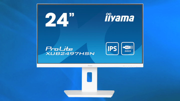 iiyama ProLite XUB2497HSN-W2