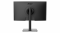 Monitor MSI Modern MD241P tył