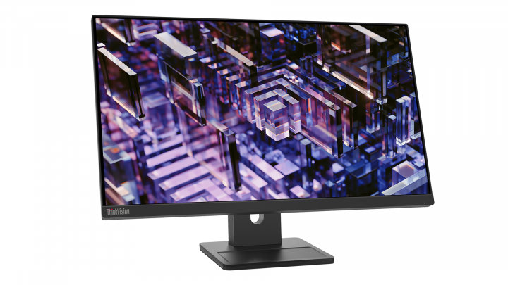 Monitor Lenovo ThinkVision E24q-30 2