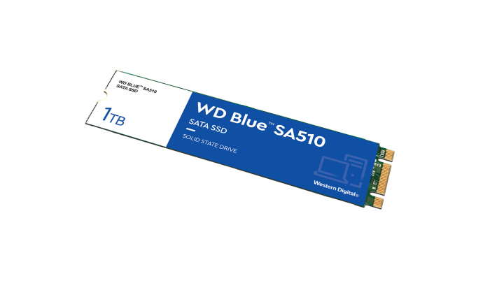 Dysk SSD WD Blue 1TB WDS100T3B0B M.2 2280 2