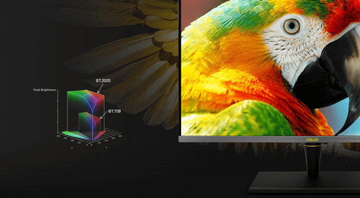 ASUS ProArt Display PA32UCX-PK 2