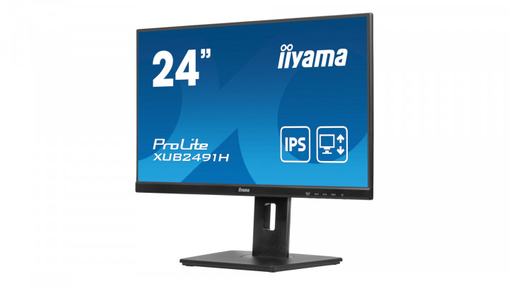 Monitor iiyama ProLite XUB2491H-B1 4