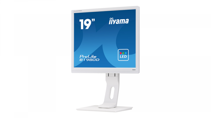 ProLite B1980D-W1 prawa
