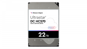 Dysk HDD Western Digital Ultrastar DC HC570 22TB 3,5 WUH722222AL5204 - 0F48052