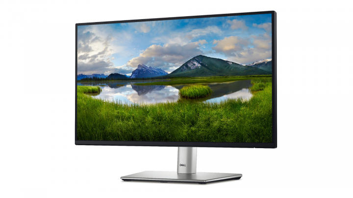 Monitor Dell 22 P2225H 2