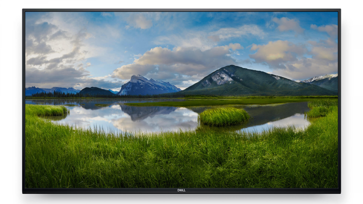 dell monitor c5519q przód