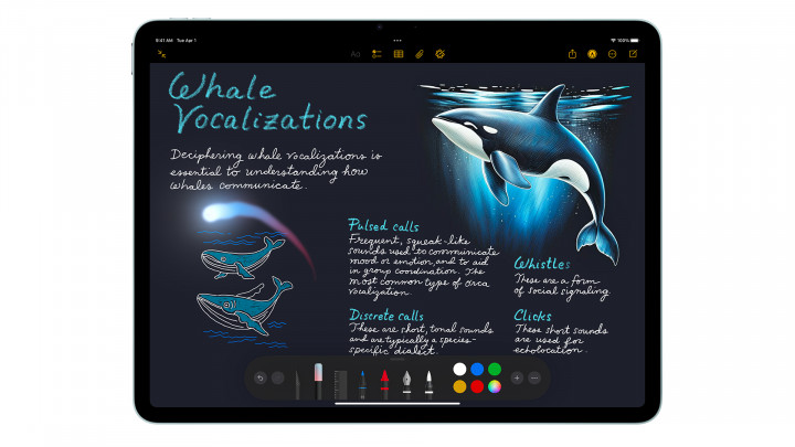 Apple iPad Air 13" M3 WiFi 5