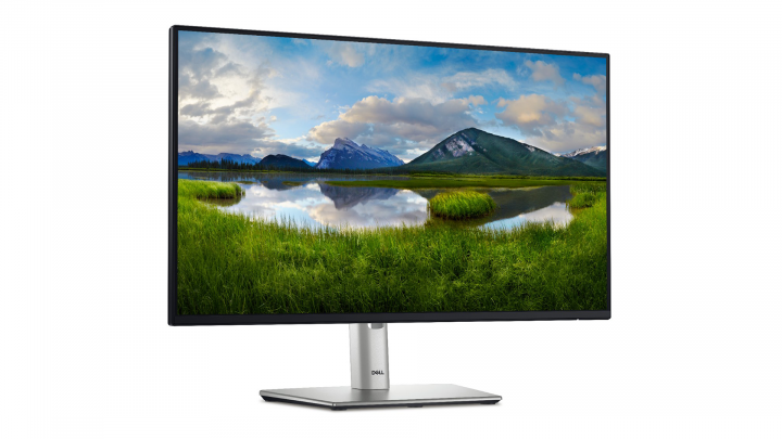 Monitor Dell 24 P2425H 2