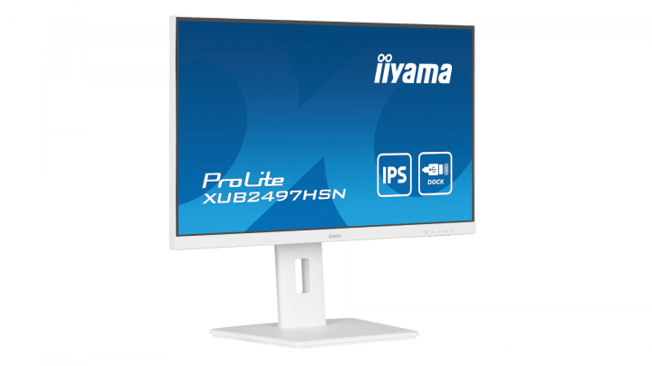 Monitor IIYAMA ProLite XUB2497HSN-W1 - widok frontu 1 2