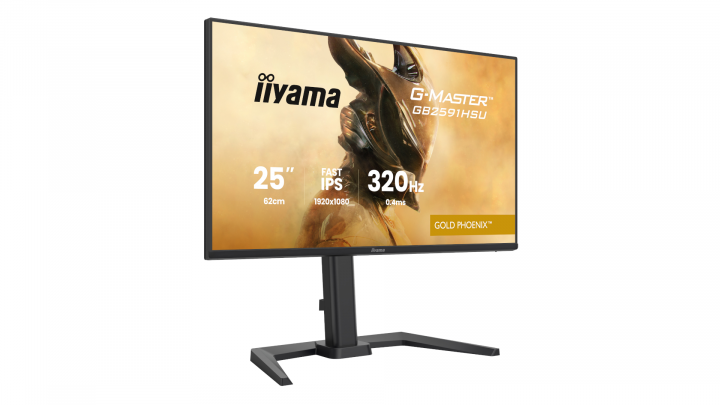 Monitor iiyama G-Master GB2591HSU-B1 2