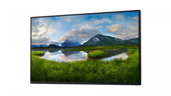 Monitor Dell 24 P2425H bez podstawki 2