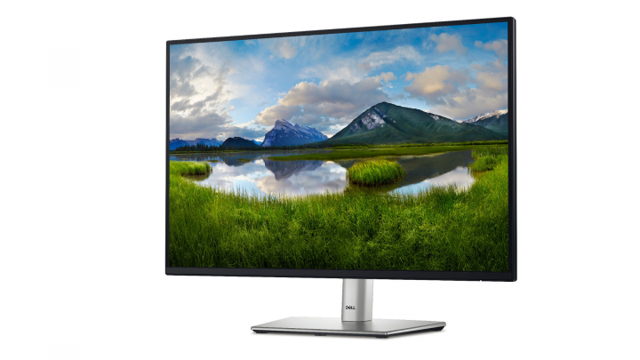 Monitor Dell 24 P2425E 2