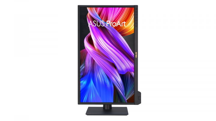 Monitor ASUS ProArt PA24US 2