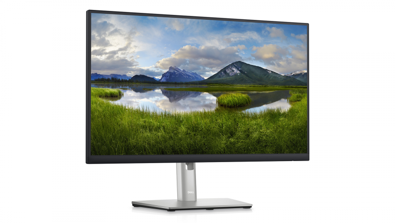 DELL - DELL モニター Monitor Dell P2423DE 210-BDDW 23,8 QHD USB-C Dock 90W RJ45