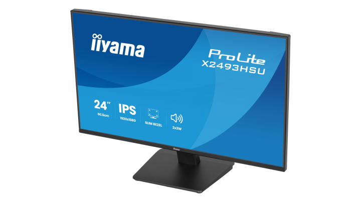Monitor iiyama ProLite X2493HSU-B1 2