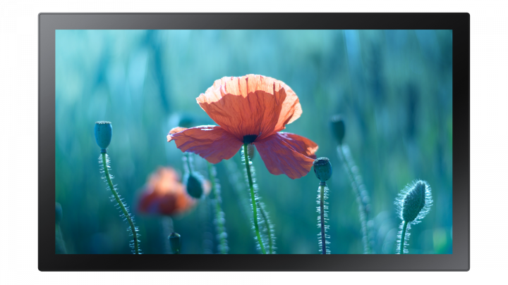 Monitor Samsung 13 QB13R-T LH13QBRTBGCXEN - widok frontu