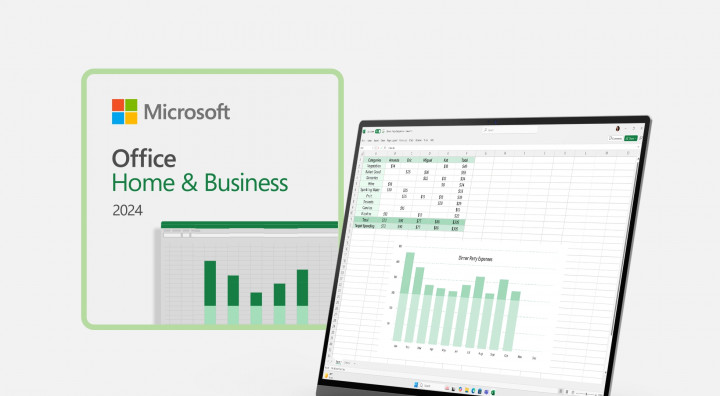 Microsoft Office Home and Business 2024