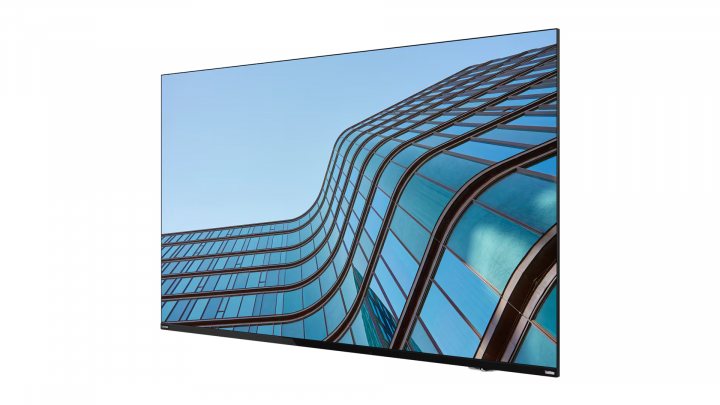 Monitor Lenovo ThinkVision E55 LFD 64A9GAT1EK 3
