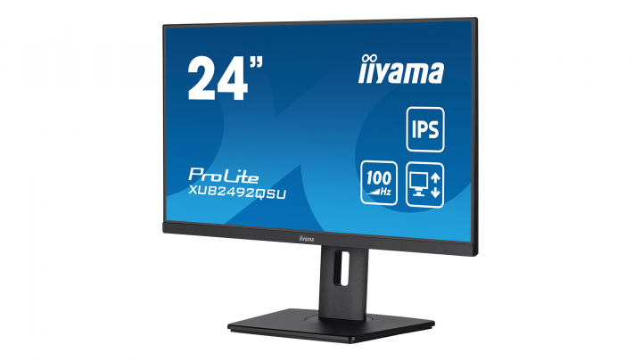 Monitor IIYAMA ProLite XUB2492QSU-B1 2