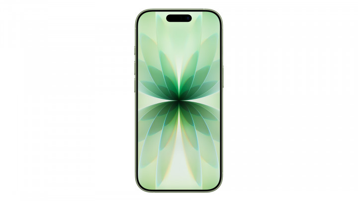 Smartfon Apple iPhone 17 Szałwia 3