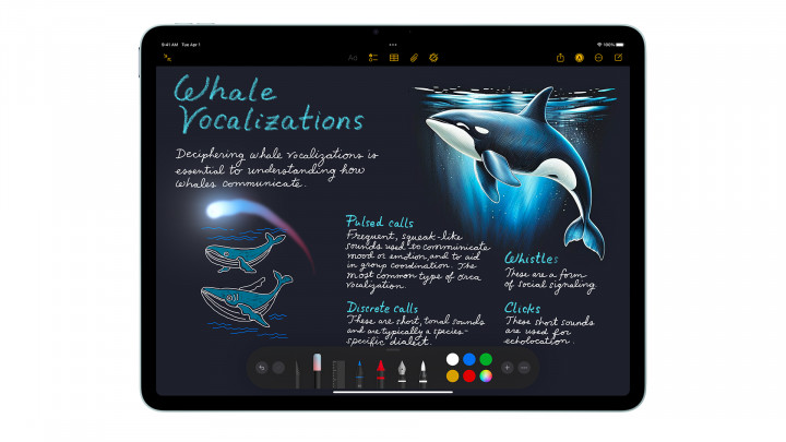 Apple iPad Air 11" M3 WiFi