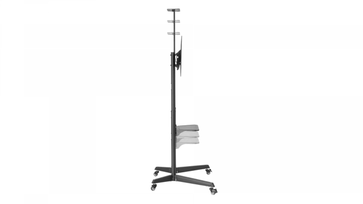 Stojak Neomounts by Newstar FL50-550BL1 37"-70" 2