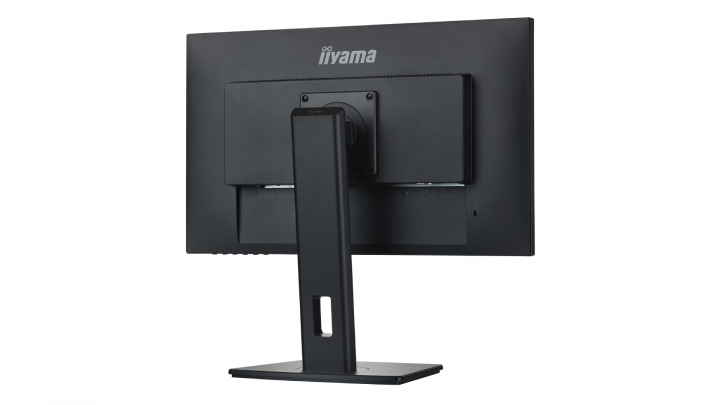 Monitor IIYAMA ProLite XUB2492HSU-B5 23,8