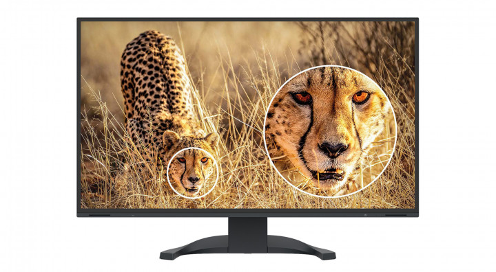 Monitor EIZO FlexScan EV3240X czarny 5