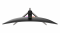 Optix AG321CR