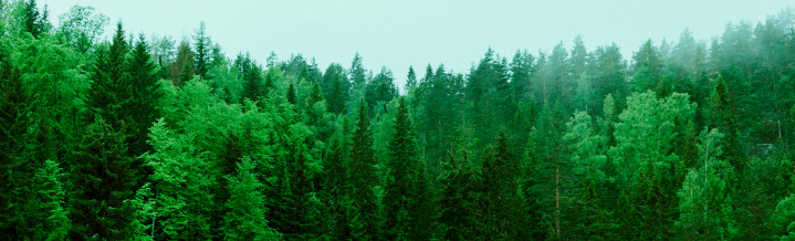 Ekologiczna alternatywa2