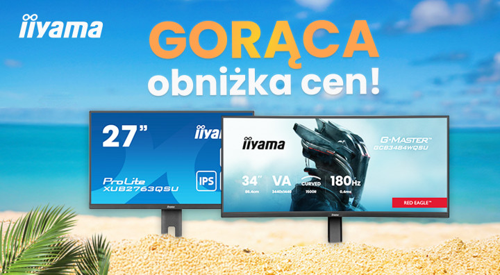 iiyama - Gorąca obniżka cen 5