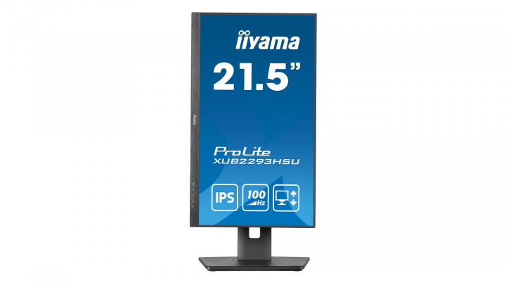 Monitor IIYAMA ProLite XUB2293HSU-B6 3
