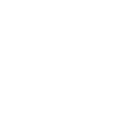 logotyp Cisco Partner invert