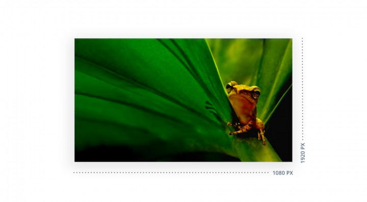 Monitor AOC 24E1Q Monitor 23.8 2