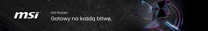 MSI Raider