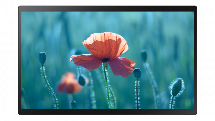 Monitor Samsung 24 QB24R-T LH24QBRTBGCXEN - widok frontu