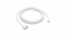 Kabel Apple USB-C - MagSafe 3 2m srebrny MW613ZM/A