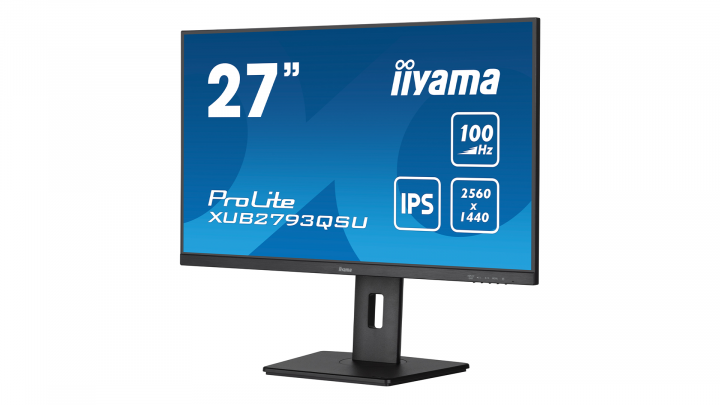 Monitor IIYAMA ProLite XUB2793QSU-B6 3