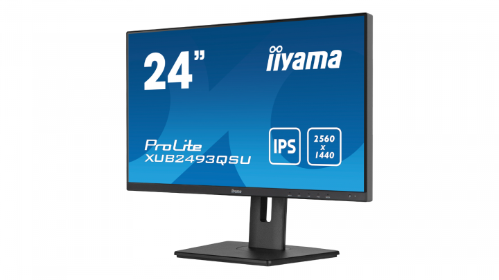 Monitor IIYAMA ProLite XUB2493QSU-B5 4