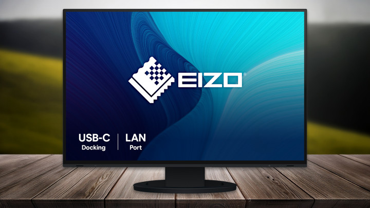 Monitor EIZO FlexScan EV2495 czarny